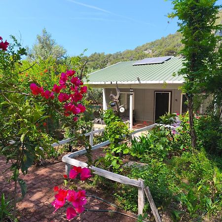 Gelidonia Fenerium Holiday Home Αττάλεια Εξωτερικό φωτογραφία