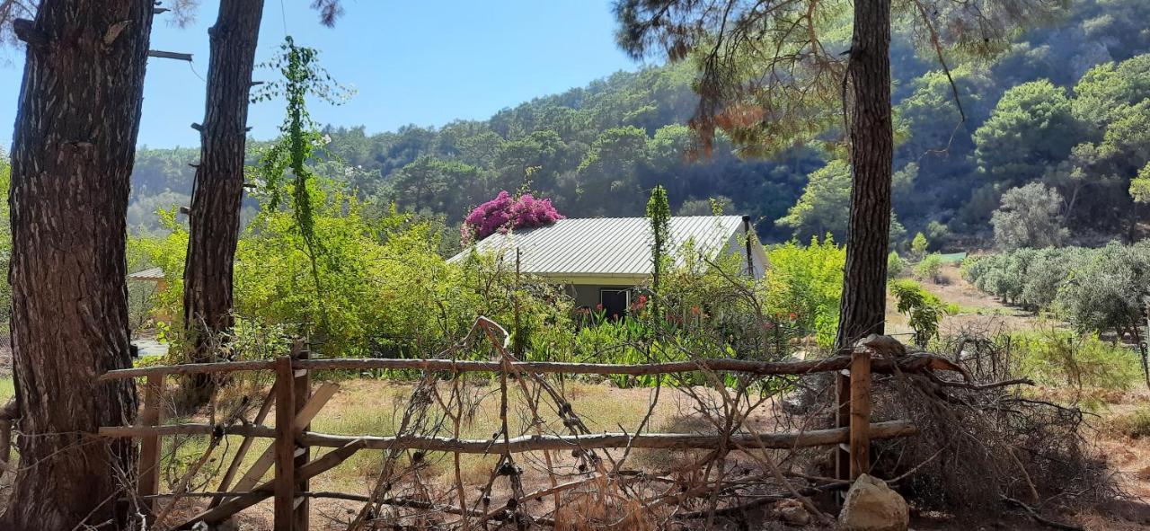 Gelidonia Fenerium Holiday Home Αττάλεια Εξωτερικό φωτογραφία