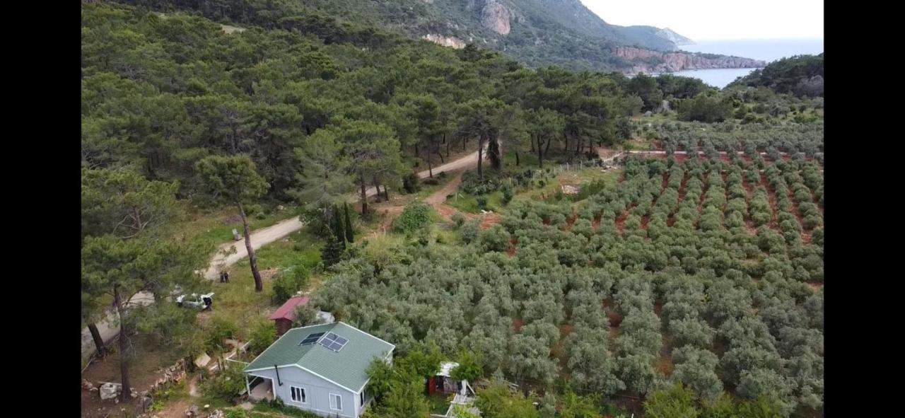 Gelidonia Fenerium Holiday Home Αττάλεια Εξωτερικό φωτογραφία