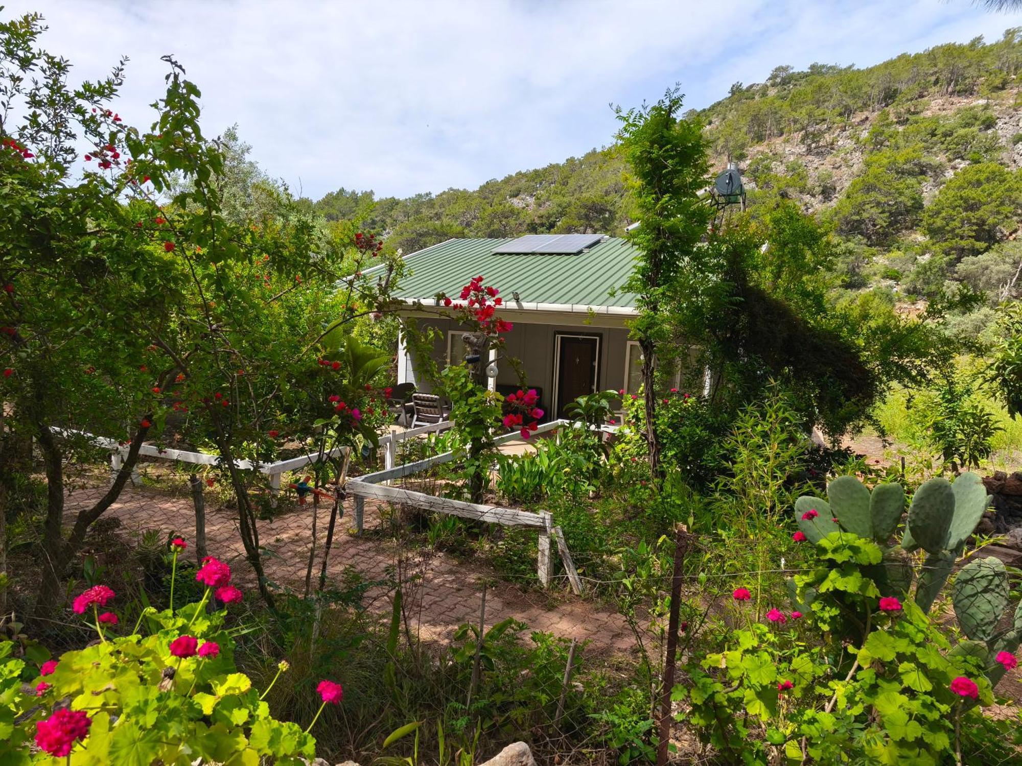 Gelidonia Fenerium Holiday Home Αττάλεια Εξωτερικό φωτογραφία