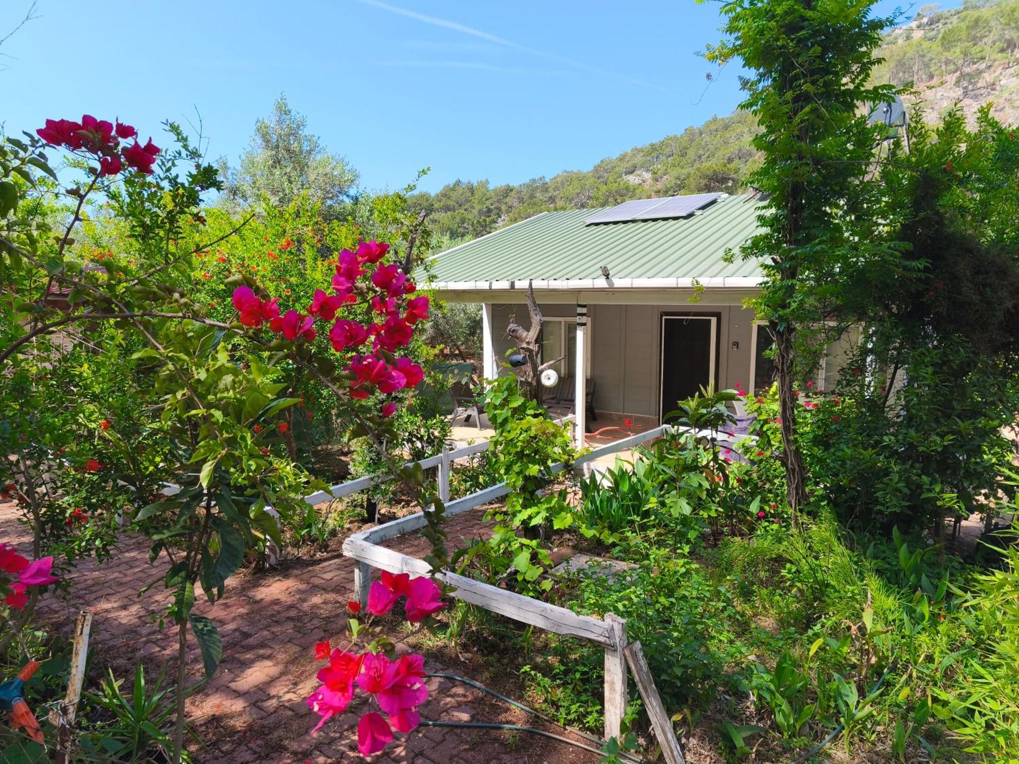 Gelidonia Fenerium Holiday Home Αττάλεια Εξωτερικό φωτογραφία